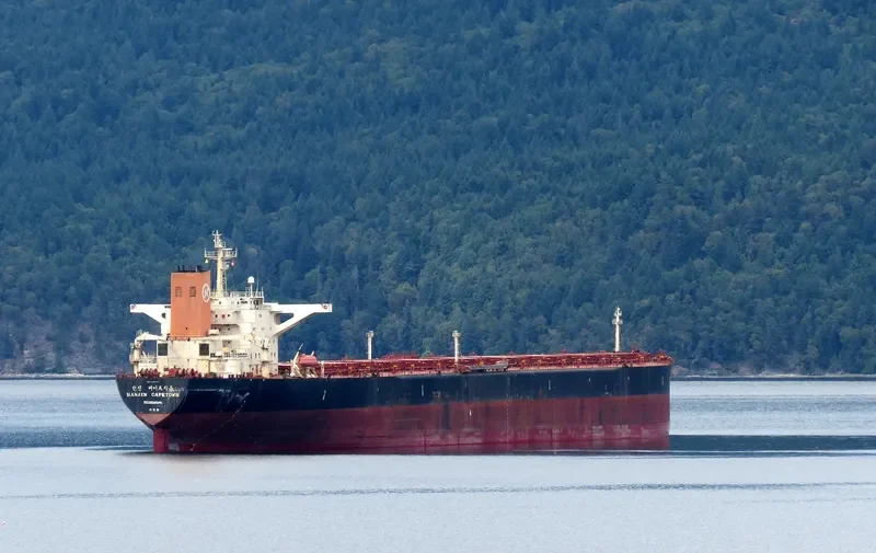 CADET Bulk Carrier IMO 9054224 photo 7