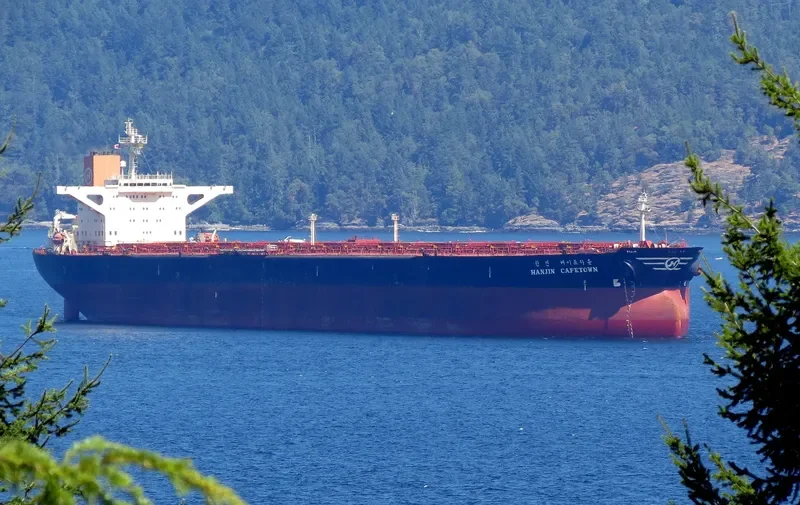 CADET Bulk Carrier IMO 9054224 photo 9