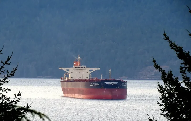 CADET Bulk Carrier IMO 9054224 photo 10