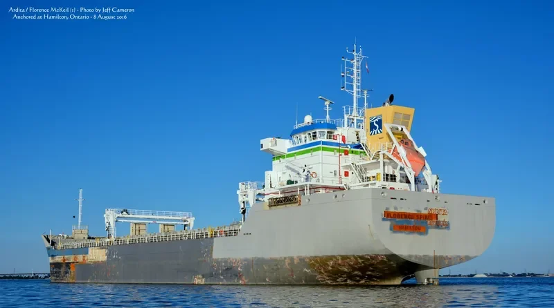 TOMI HARU General Cargo IMO 9054779 photo 4