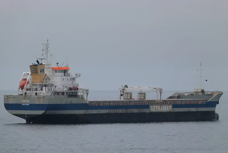 TOMI HARU General Cargo IMO 9054779 photo 9