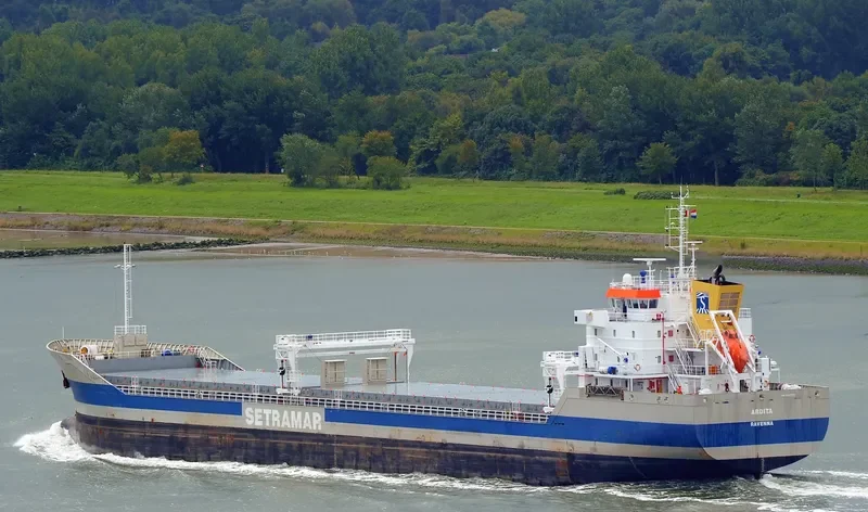 TOMI HARU General Cargo IMO 9054779 photo 10
