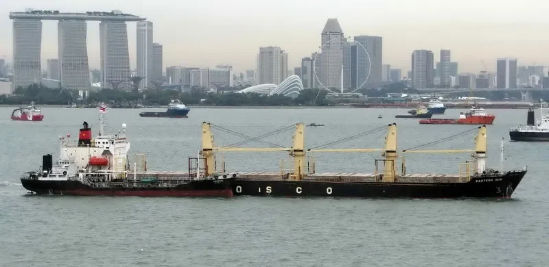 PHUONG DONG 06 Bulk Carrier IMO 9054846 photo 3