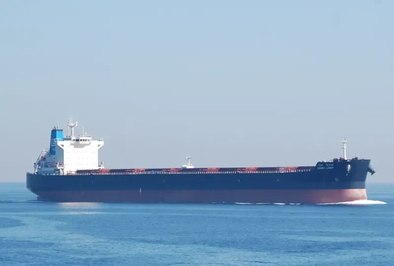 SENTOSA 207 General Cargo IMO 9054860 photo 2