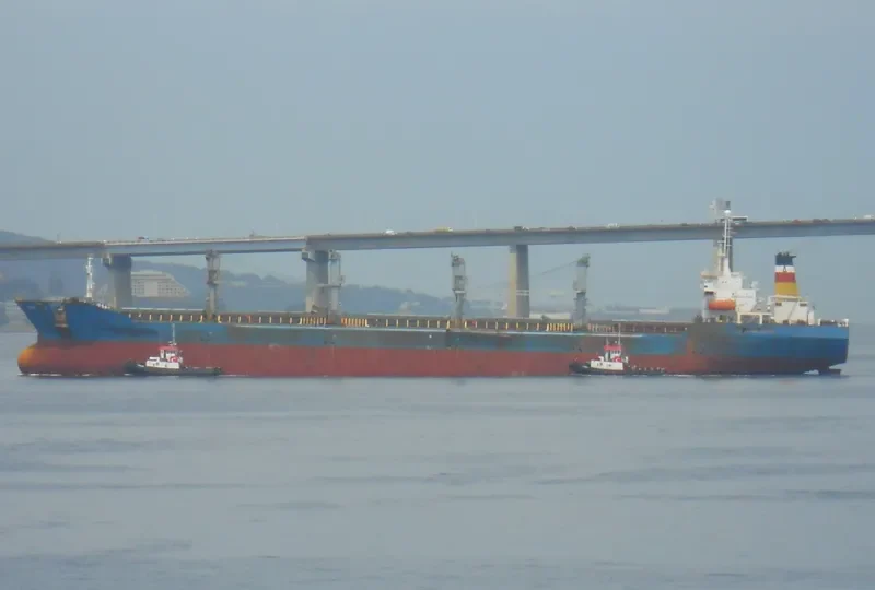 SAO LUIZ Bulk Carrier IMO 9055113 photo 8