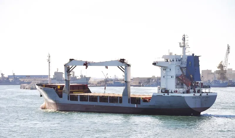 MERSA ALAM General Cargo IMO 9055175 photo 2