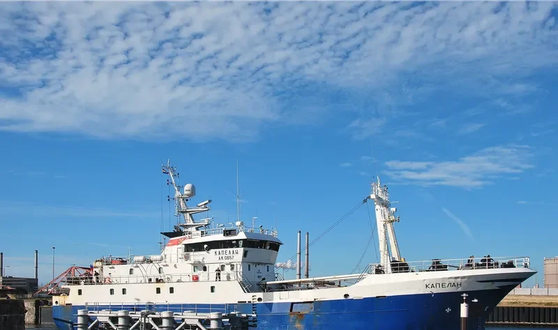 KAPELAN General Cargo IMO 9055280 photo 2