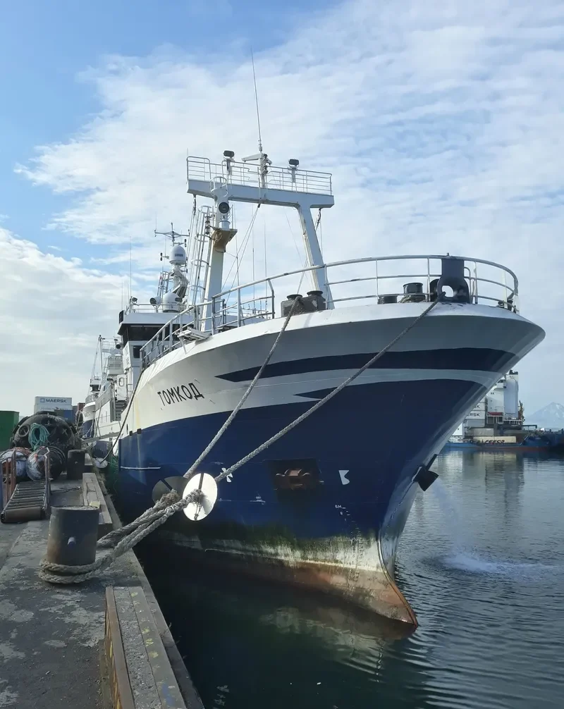 TOMKOD General Cargo IMO 9055307