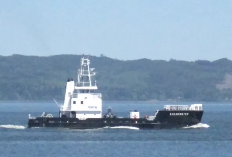 SHEARWATER General Cargo IMO 9055814 photo 2