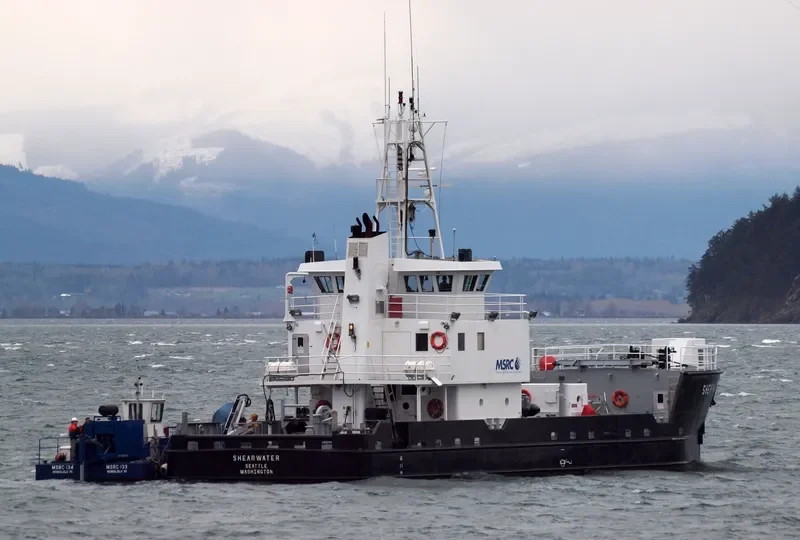 SHEARWATER General Cargo IMO 9055814 photo 7