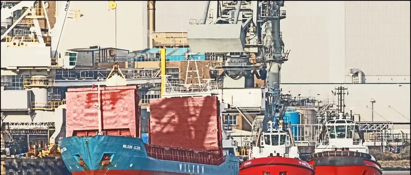 WILSON GIJON General Cargo IMO 9056038