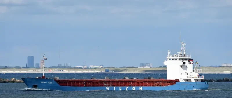 WILSON GIJON General Cargo IMO 9056038 photo 3