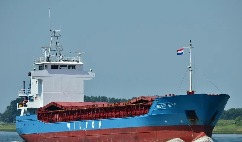 WILSON GIJON General Cargo IMO 9056038 photo 10