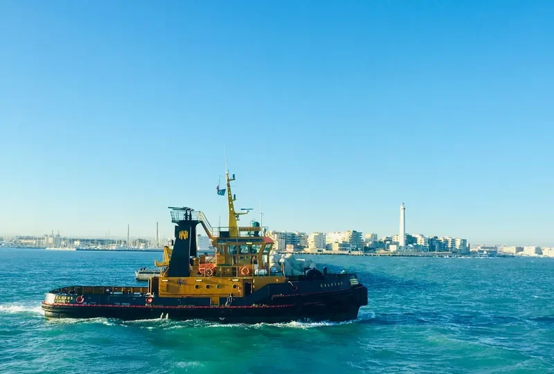 GALESUS General Cargo IMO 9056105 photo 9