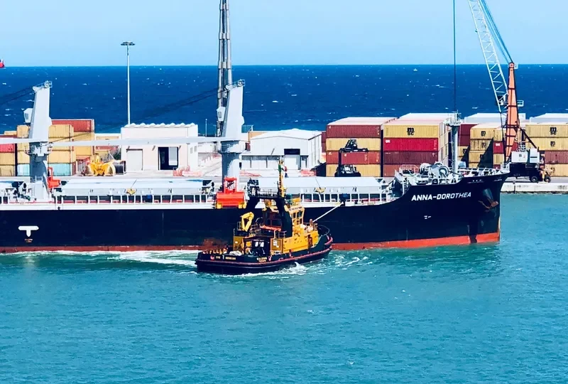 GALESUS General Cargo IMO 9056105 photo 10
