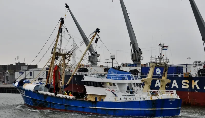 GRIETJE BOS General Cargo IMO 9056143 photo 3