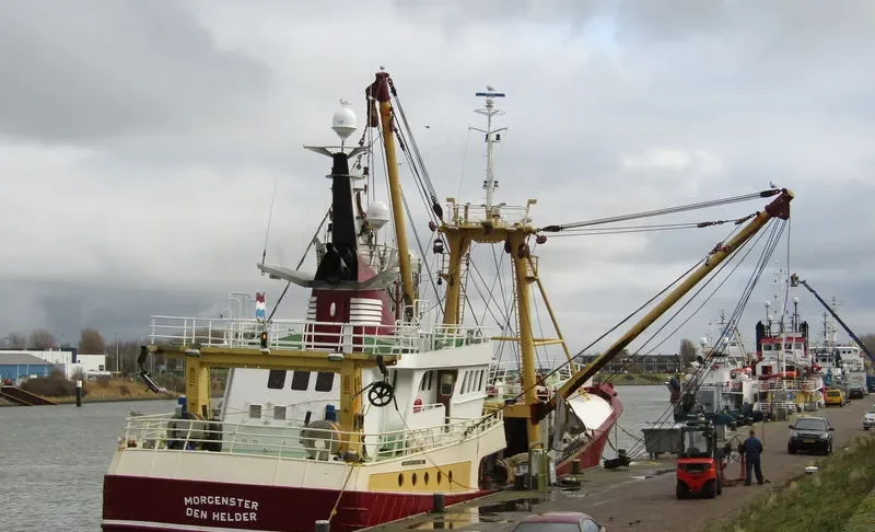 MORGENSTER General Cargo IMO 9056179 photo 4