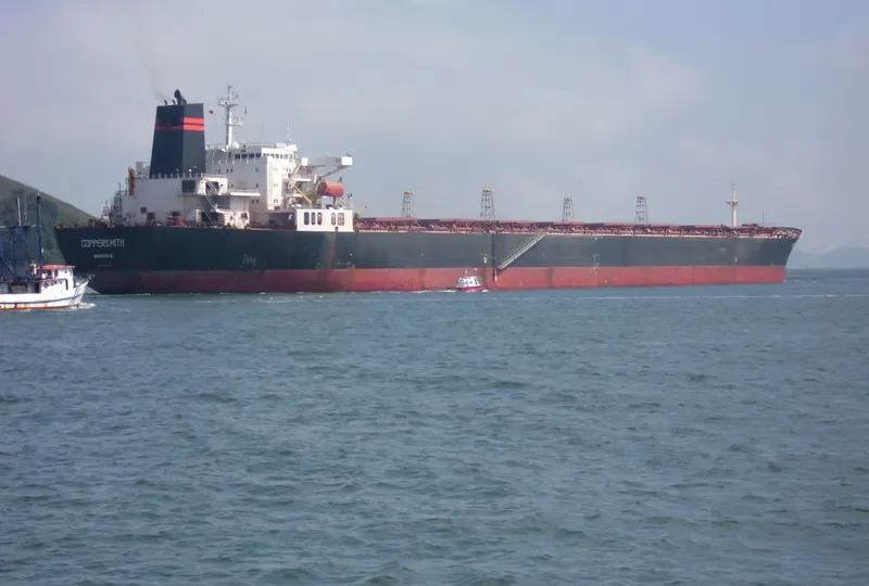 V COPPER SMITH Bulk Carrier IMO 9056260 photo 3
