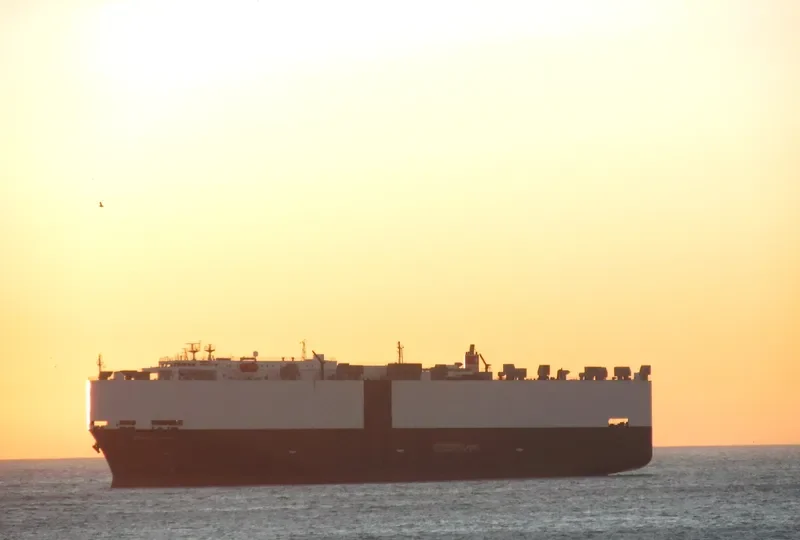 GEMINI LEADER General Cargo IMO 9056296