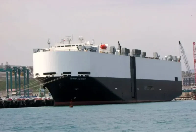 GEMINI LEADER General Cargo IMO 9056296 photo 6