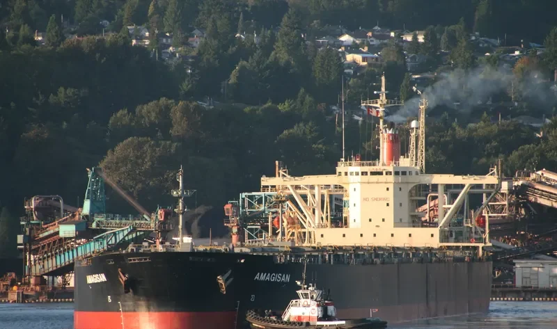 AMAGISAN Bulk Carrier IMO 9056715 photo 2