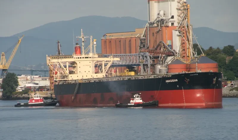AMAGISAN Bulk Carrier IMO 9056715 photo 4