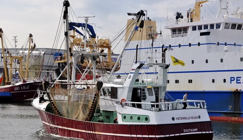 PIETERNELLE HELENA General Cargo IMO 9056856