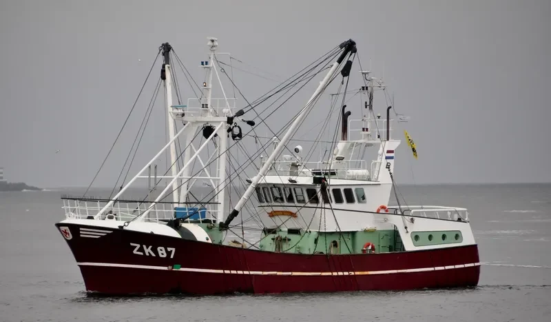 PIETERNELLE HELENA General Cargo IMO 9056856 photo 2