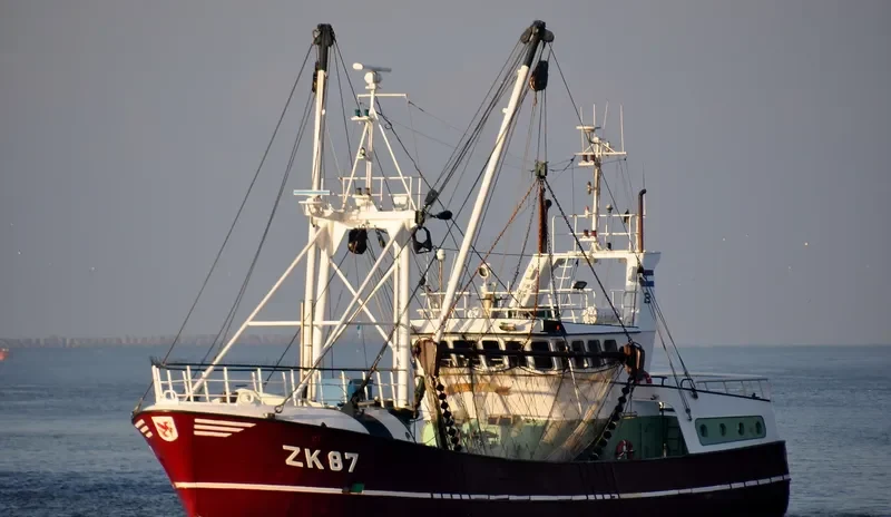 PIETERNELLE HELENA General Cargo IMO 9056856 photo 6