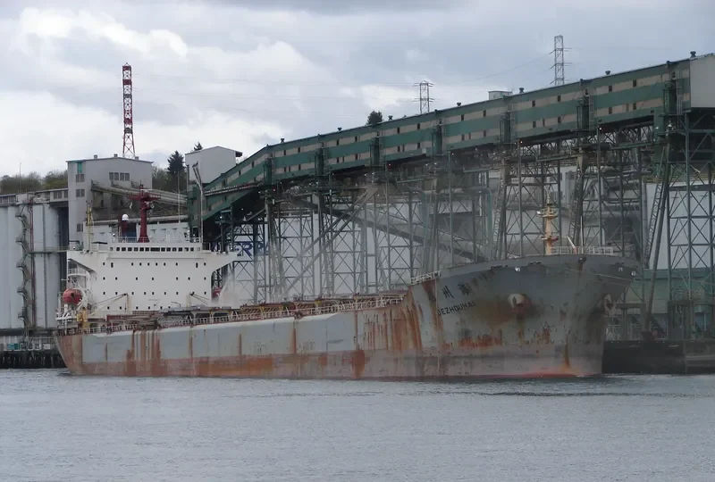 DE ZHOU HAI Bulk Carrier IMO 9056911 photo 4