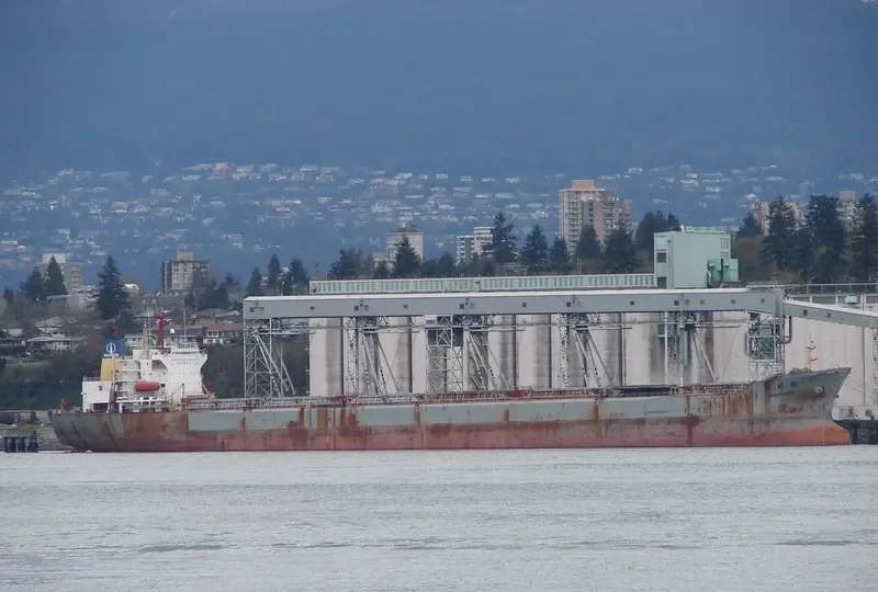 DE ZHOU HAI Bulk Carrier IMO 9056911 photo 5