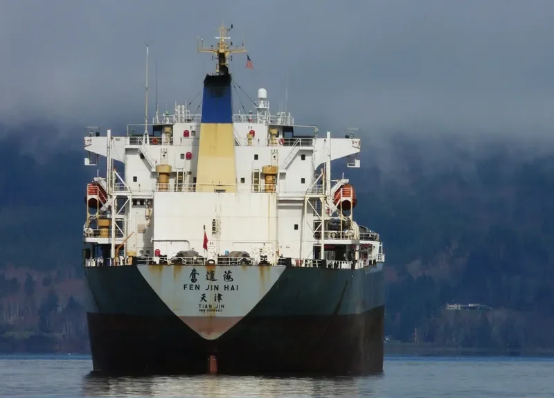 FEN JIN HAI Bulk Carrier IMO 9056923