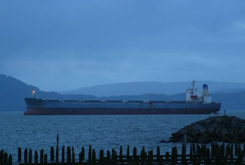FEN JIN HAI Bulk Carrier IMO 9056923 photo 2