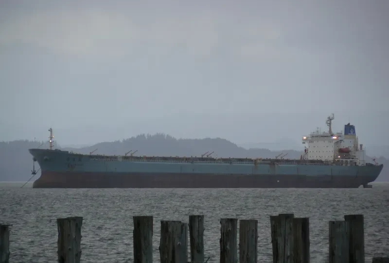 FEN JIN HAI Bulk Carrier IMO 9056923 photo 3