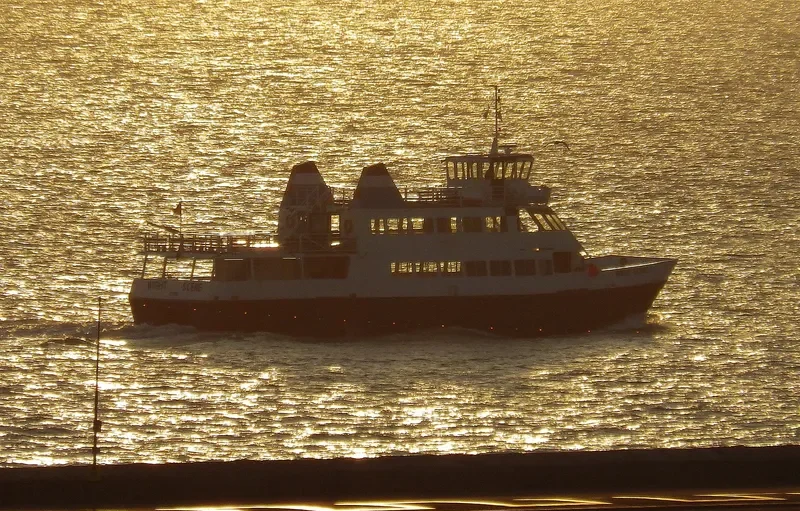 WIGHT SCENE Passenger Ship IMO 9056997 photo 8