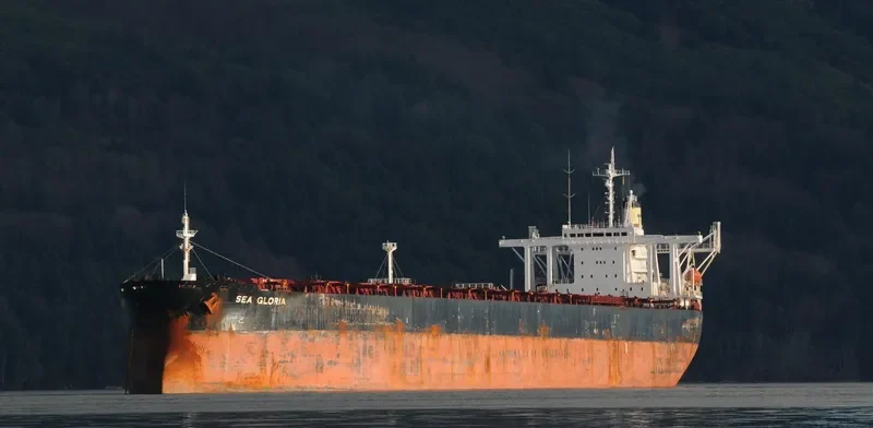 SEA GLORIA Bulk Carrier IMO 9057032 photo 4