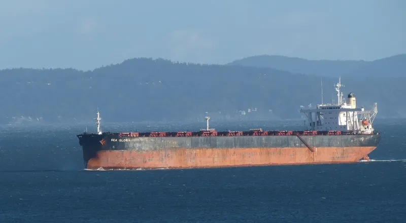 SEA GLORIA Bulk Carrier IMO 9057032 photo 6