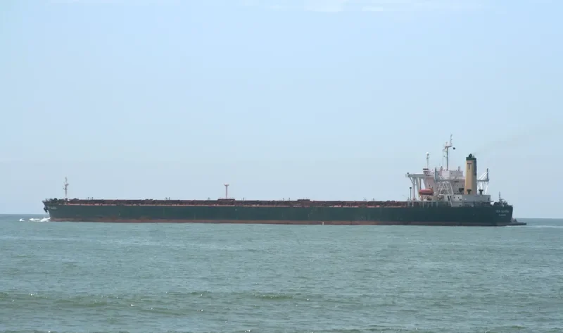 SEA GLORIA Bulk Carrier IMO 9057032 photo 9