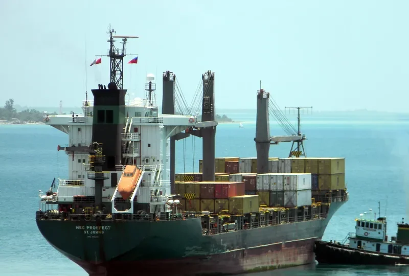 MSC PROSPECT Container Ship IMO 9057135 photo 4