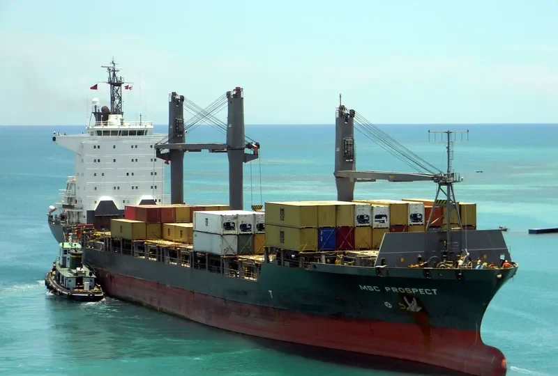 MSC PROSPECT Container Ship IMO 9057135 photo 10