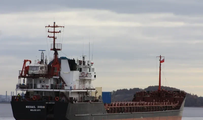 MIKHAIL DUDIN General Cargo IMO 9057329 photo 2