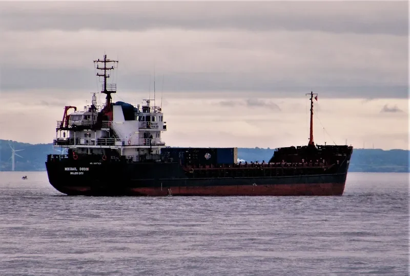 MIKHAIL DUDIN General Cargo IMO 9057329 photo 10