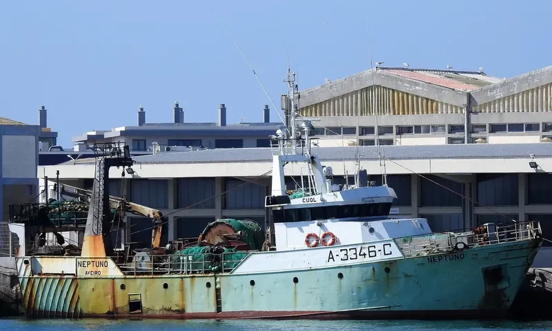 NEPTUNO General Cargo IMO 9057355