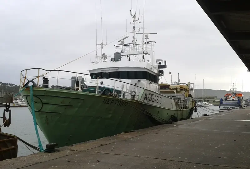 NEPTUNO General Cargo IMO 9057355 photo 2
