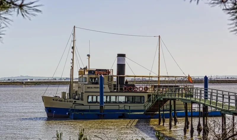 REAL FERNANDO Passenger Ship IMO 9057381 photo 2
