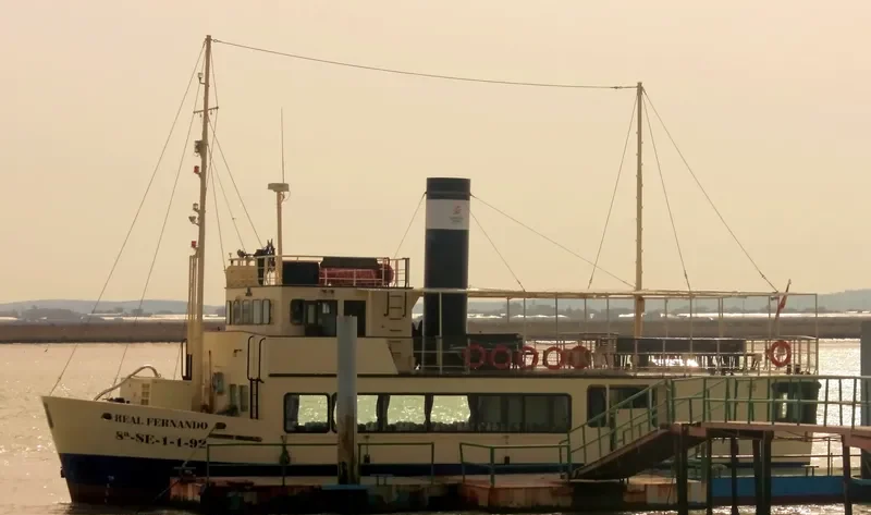 REAL FERNANDO Passenger Ship IMO 9057381 photo 6