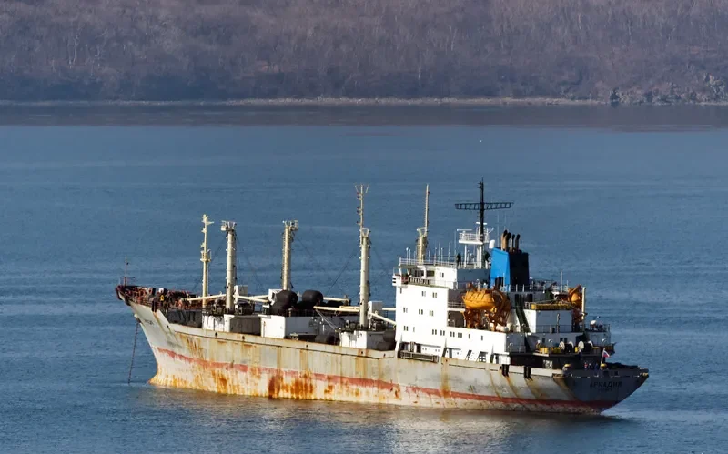 ARKADIJA General Cargo IMO 9057393 photo 8