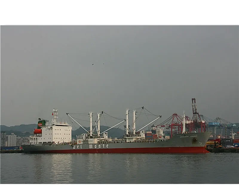 ANDALUCIA CARRIER General Cargo IMO 9057537 photo 9