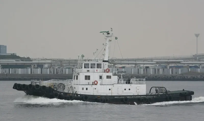 SAKURA General Cargo IMO 9057862