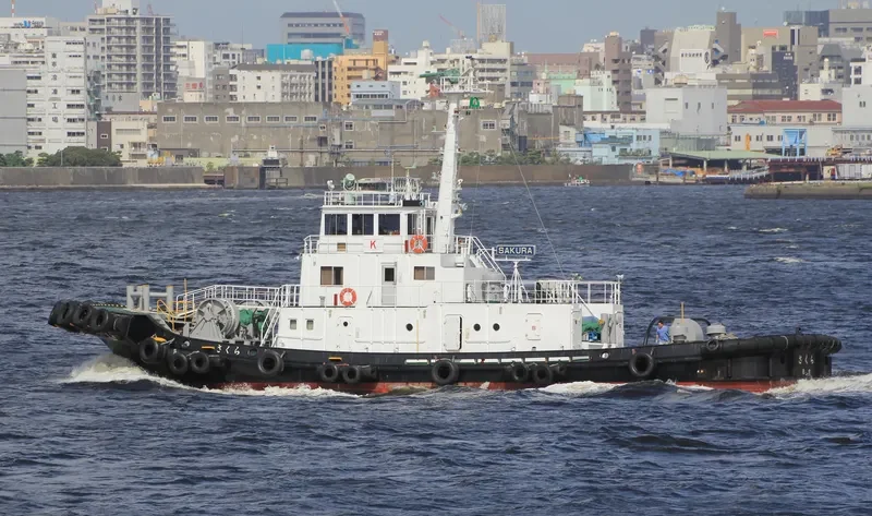 SAKURA General Cargo IMO 9057862 photo 4